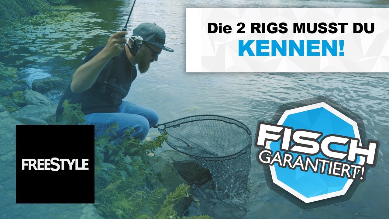 Texas Rig und Carolina Rig auf Barsch einfach erklärt