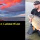 Stausee Connection Part 1