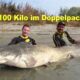 Grose Fische am laufenden Band 100 Kilo Waller im Doppelpack Welsangeln am Fluss