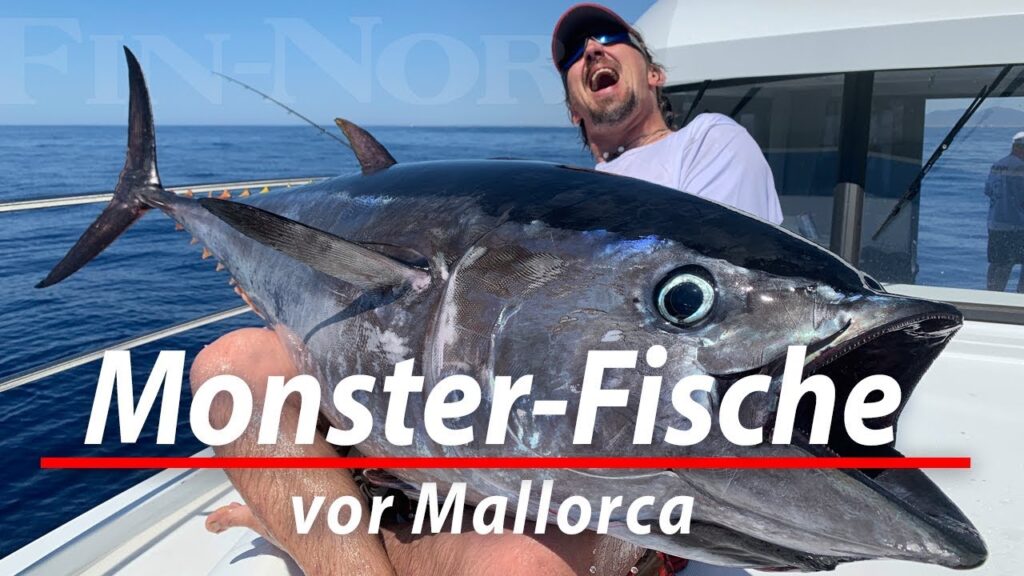 Monster-Fische vor Mallorca | Angeln auf Thunfisch und Schwertfisch im Mittelmeer