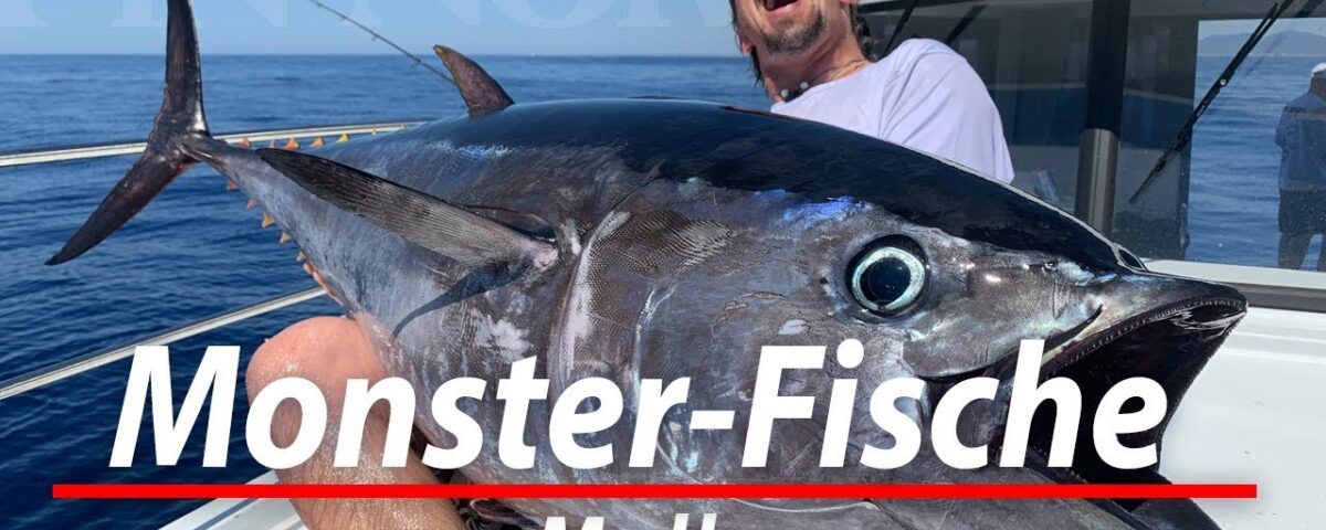 Monster Fische vor Mallorca Angeln auf Thunfisch und Schwertfisch im Mittelmeer