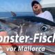 Monster Fische vor Mallorca Angeln auf Thunfisch und Schwertfisch im Mittelmeer