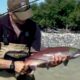 Petri heil vom Fischen und Angeln Dokumentation von NZZ Format 2010