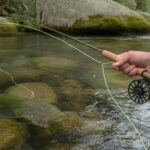 Fliegenfischen-Techniken meistern