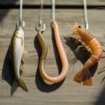 Köder für die Situation wählen