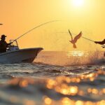 Schutz der atlantischen Menhaden-Fischereien